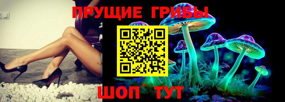 Ртищево  Псилоцибиновые грибы прущие грибы  Вход с VPN 